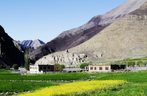 Homestays in rural Ladakh